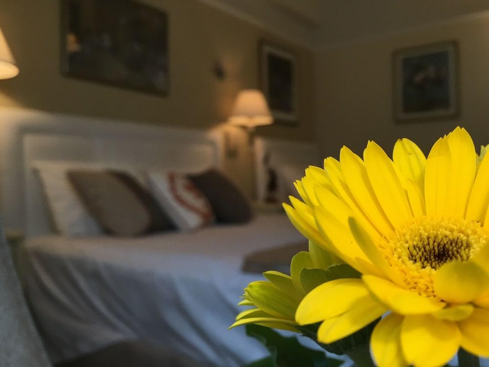 Cornell Hotel De France San Francisco Buitenkant foto
